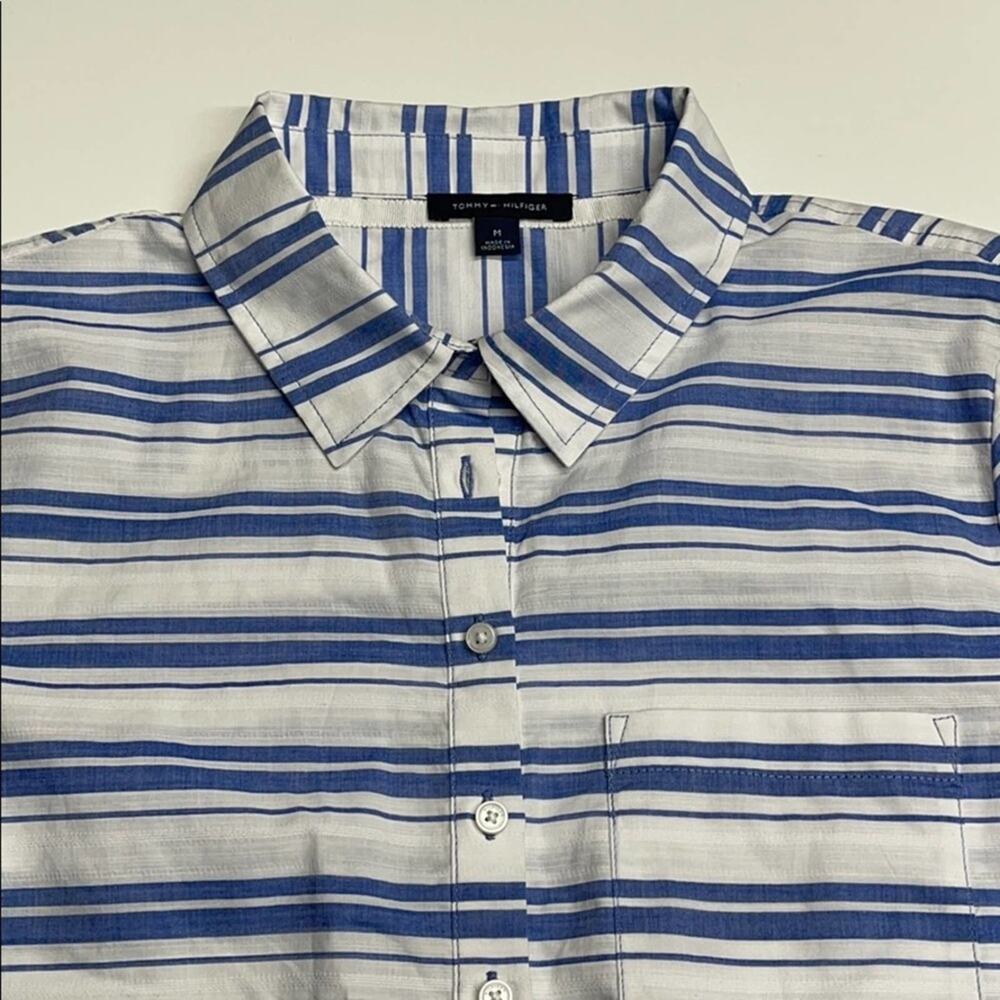 TOMMY HILFIGER Men Blue Striped Lightweight Shirt